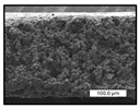 Polymers 17 00984 i020 Polymers 17 00984 i020