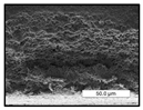 Polymers 17 00984 i022 Polymers 17 00984 i022