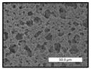 Polymers 17 00984 i026 Polymers 17 00984 i026