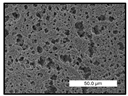 Polymers 17 00984 i027 Polymers 17 00984 i027