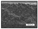 Polymers 17 00984 i028 Polymers 17 00984 i028