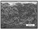 Polymers 17 00984 i029 Polymers 17 00984 i029