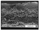 Polymers 17 00984 i032 Polymers 17 00984 i032