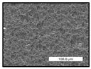 Polymers 17 00984 i034 Polymers 17 00984 i034