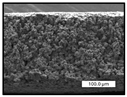 Polymers 17 00984 i039 Polymers 17 00984 i039