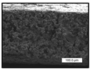Polymers 17 00984 i040 Polymers 17 00984 i040