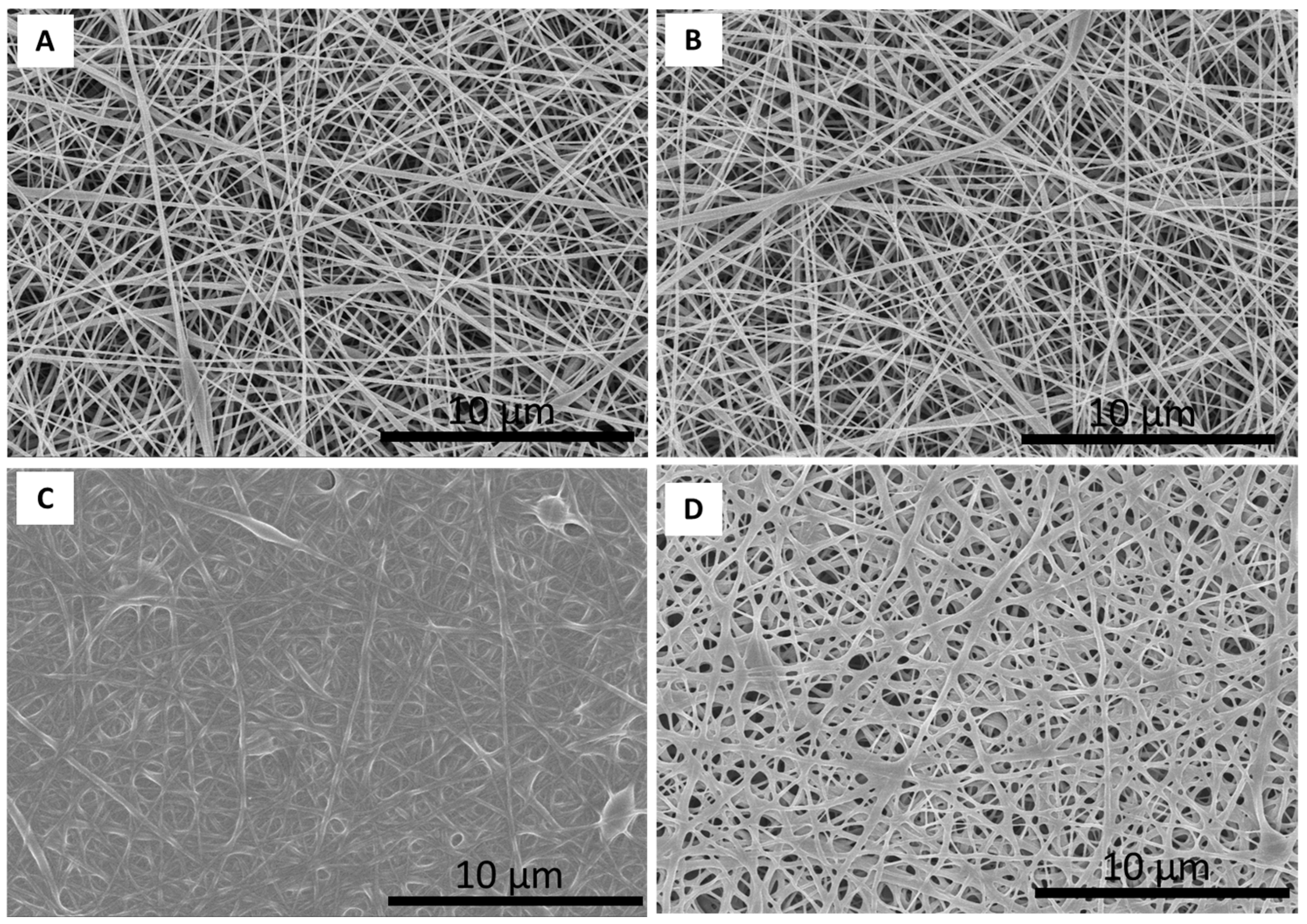 Polymers 17 00988 g001