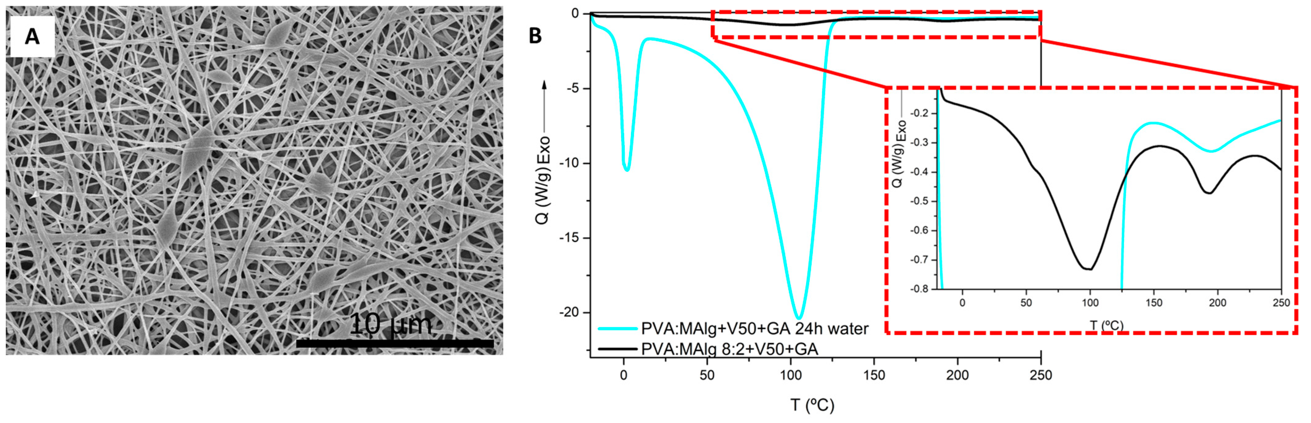 Polymers 17 00988 g003