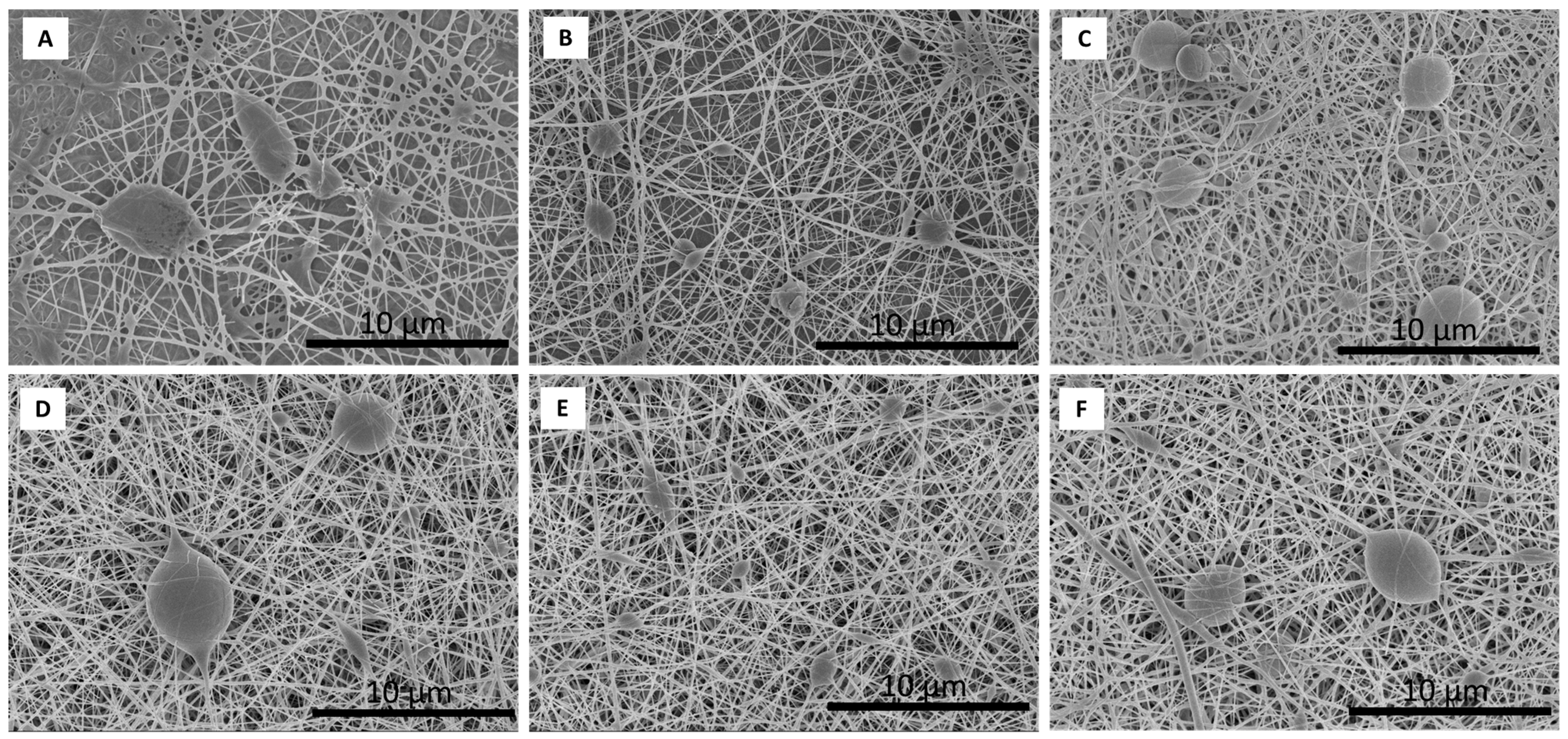 Polymers 17 00988 g004