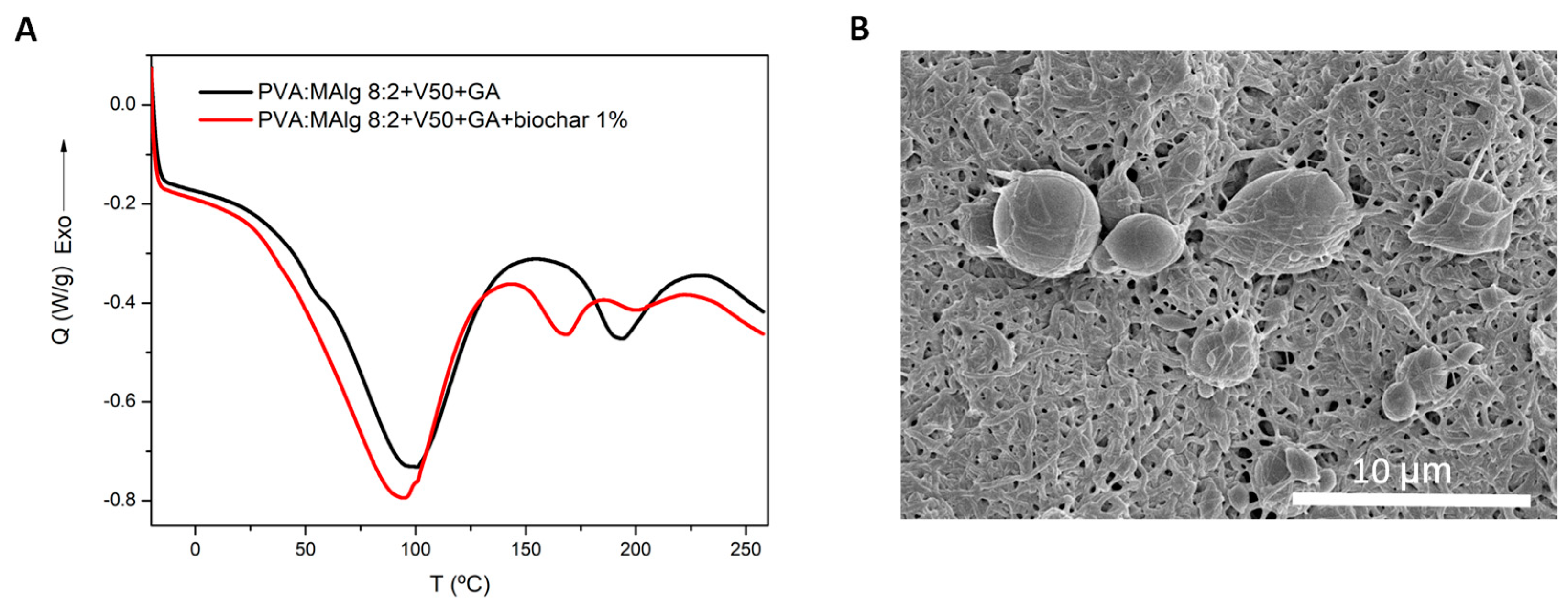 Polymers 17 00988 g006