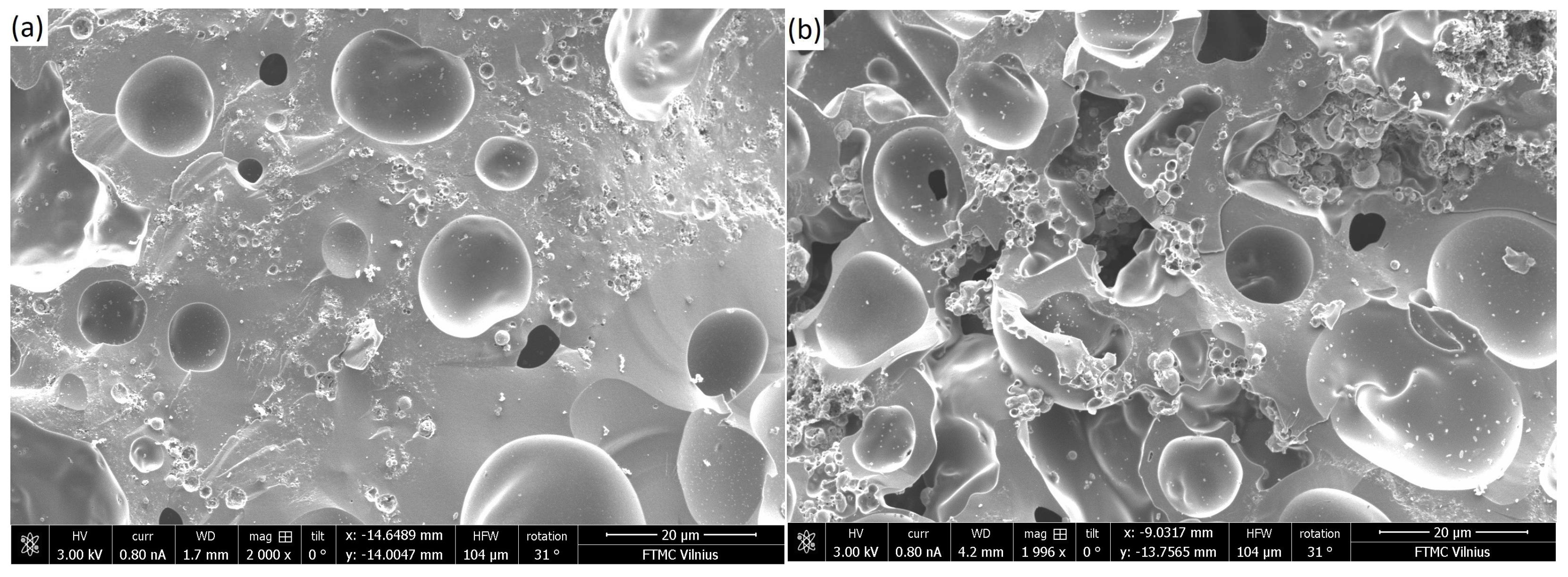 Polymers 17 01009 g002