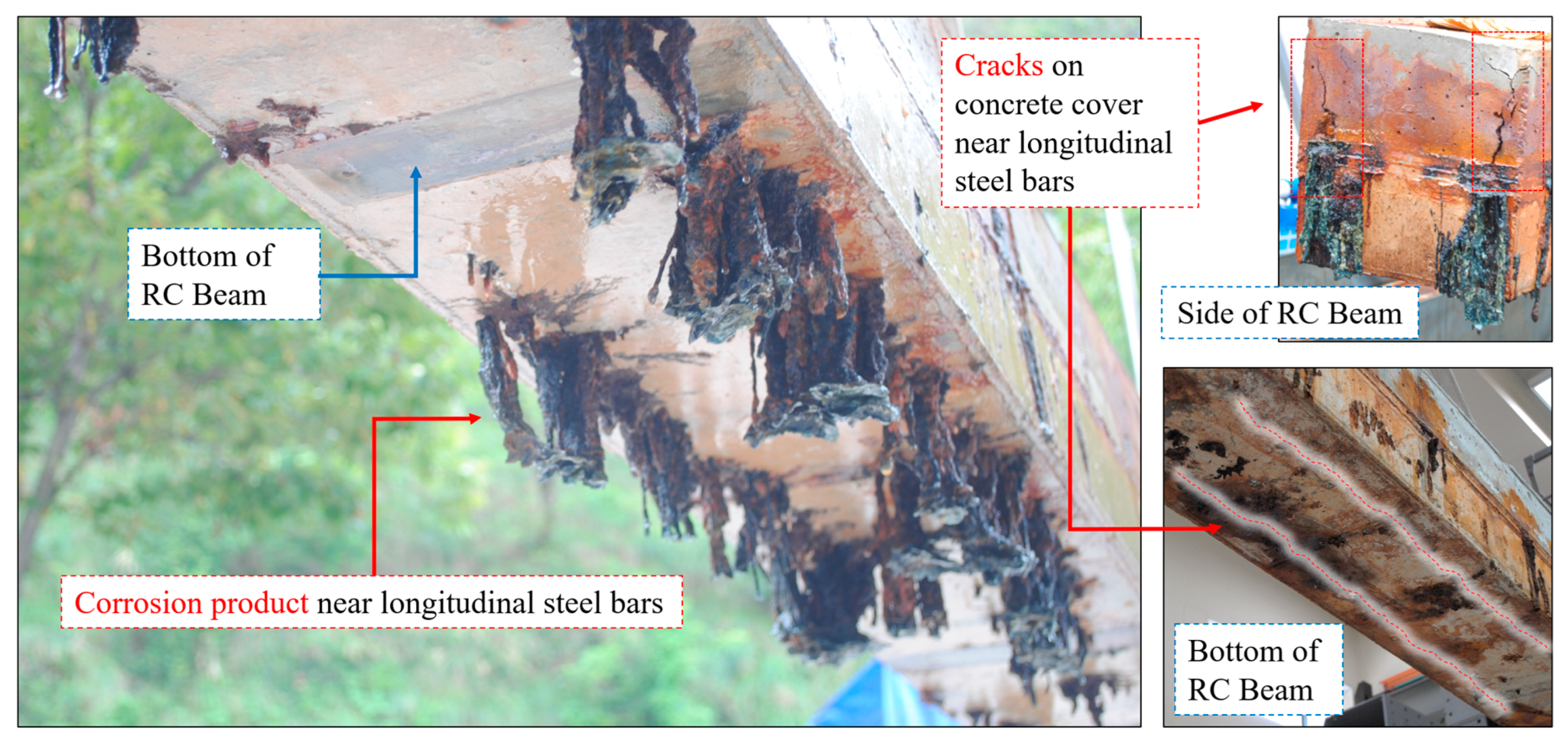 Polymers 17 01021 g004