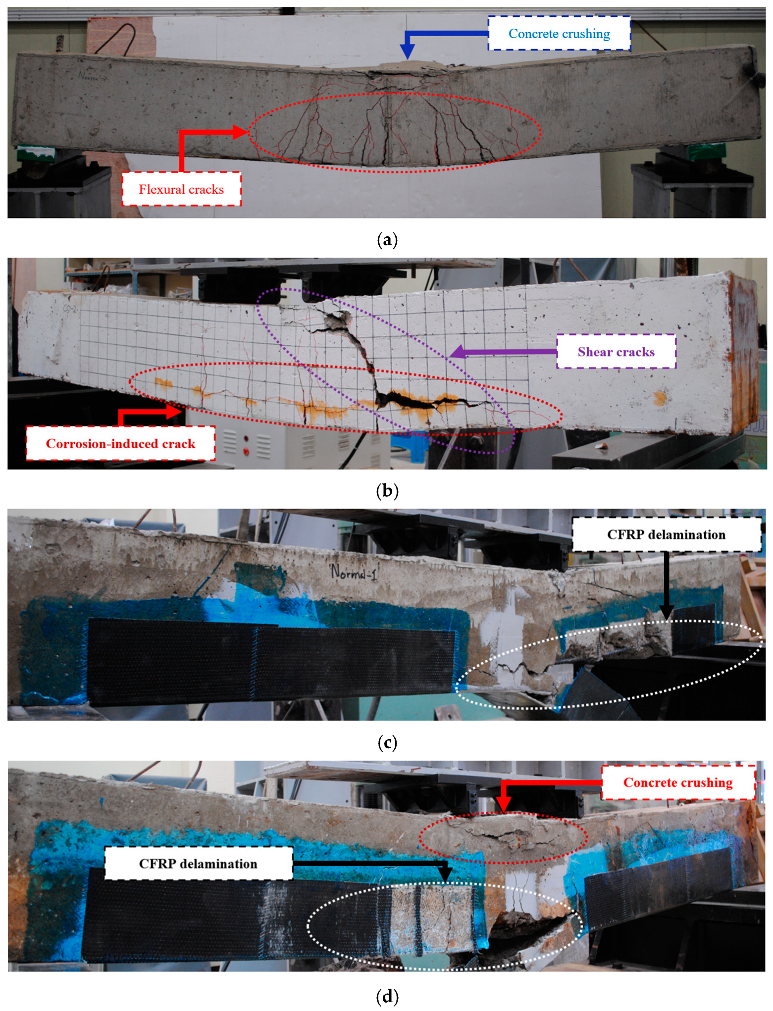 Polymers 17 01021 g011