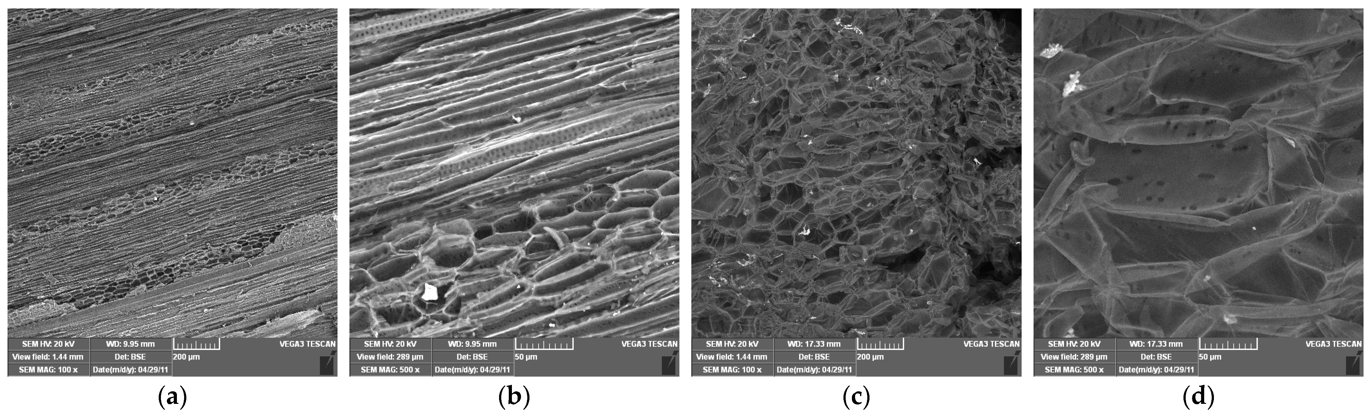 Polymers 17 01032 g008