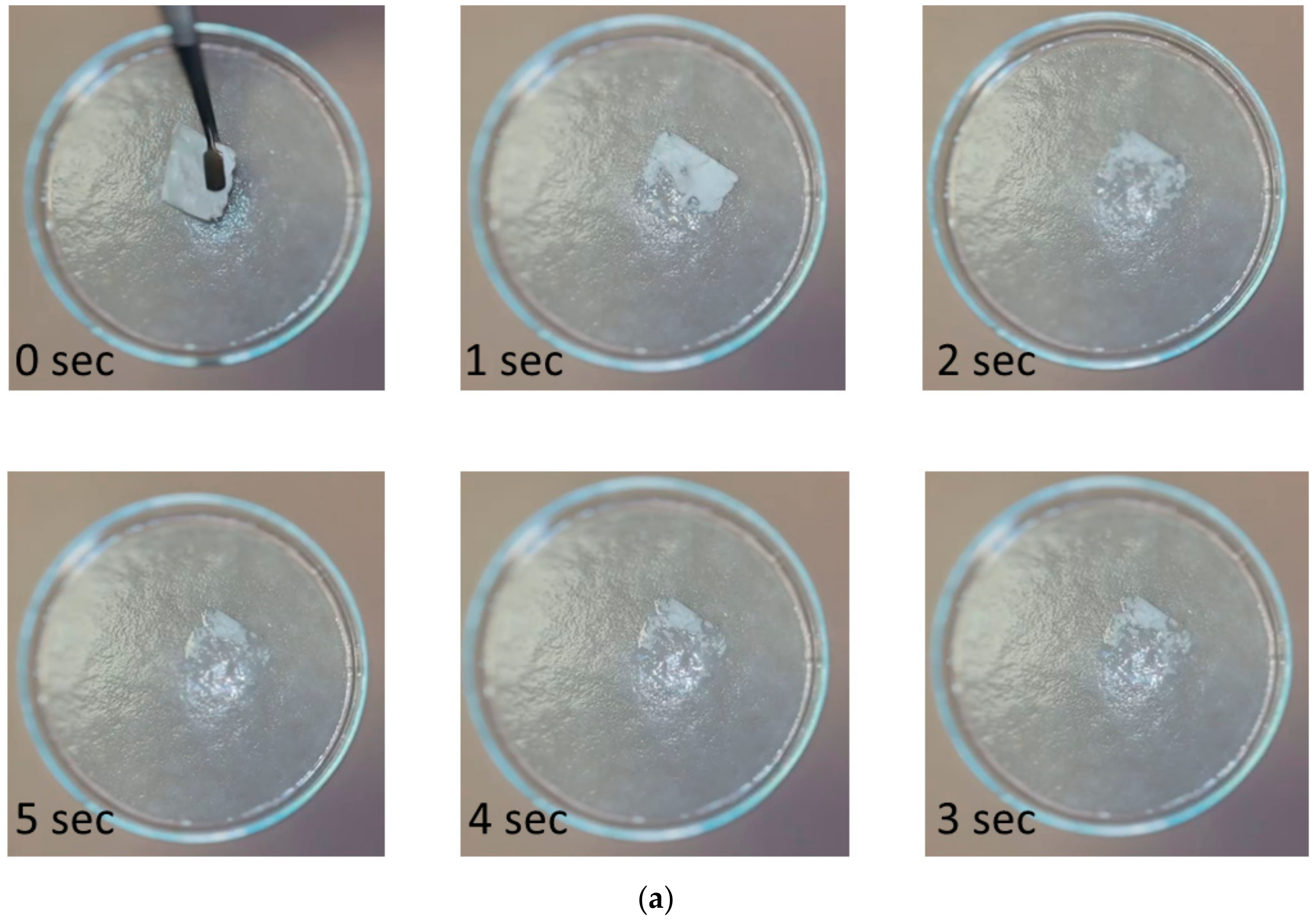 Polymers 17 01037 g008a Polymers 17 01037 g008a