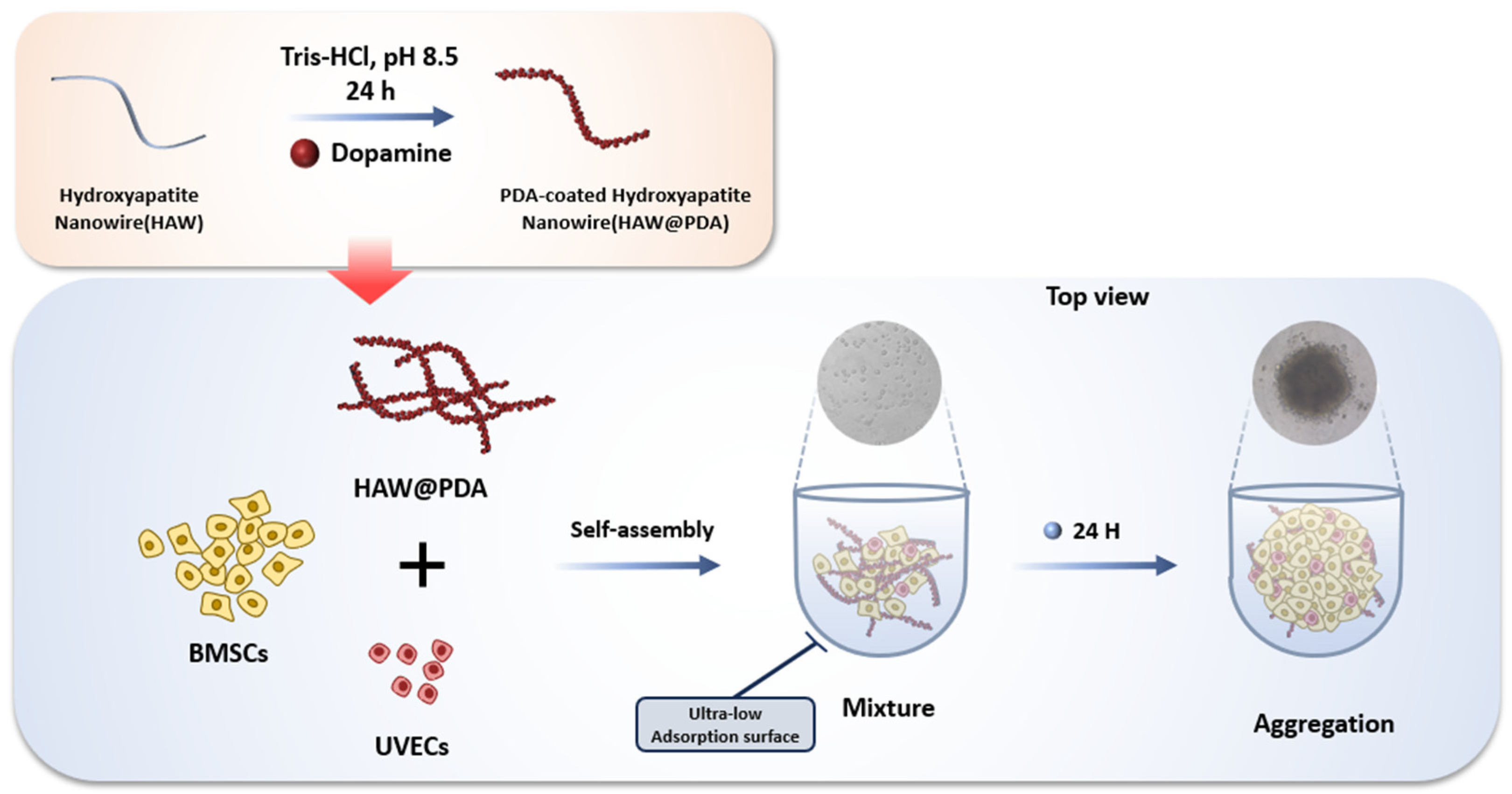 Polymers 17 01039 g001