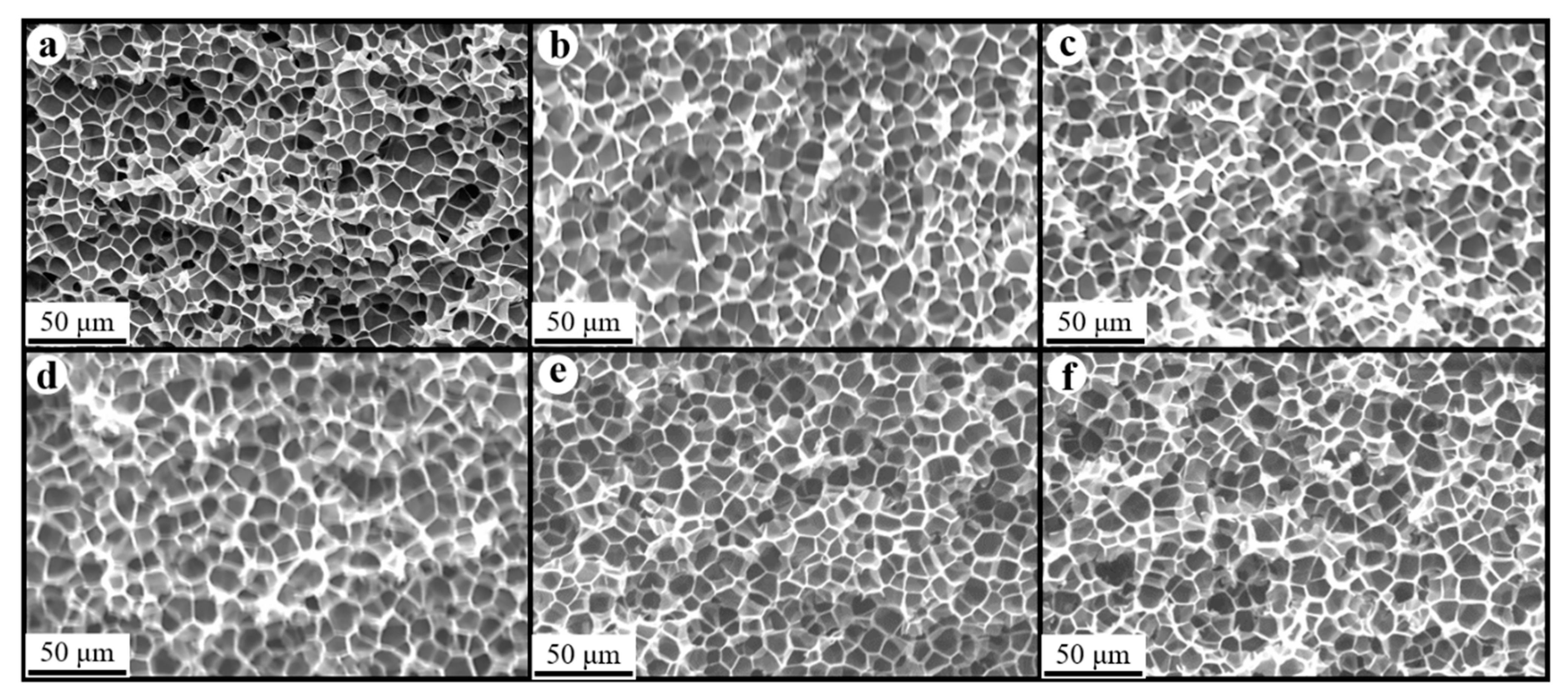 Polymers 17 01040 g008
