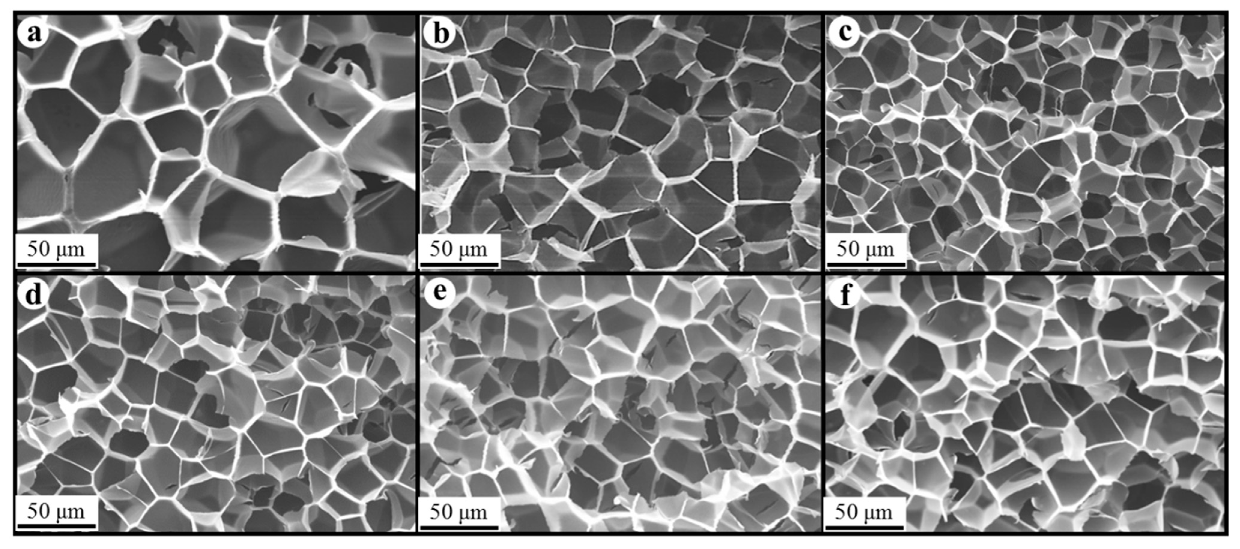 Polymers 17 01040 g010
