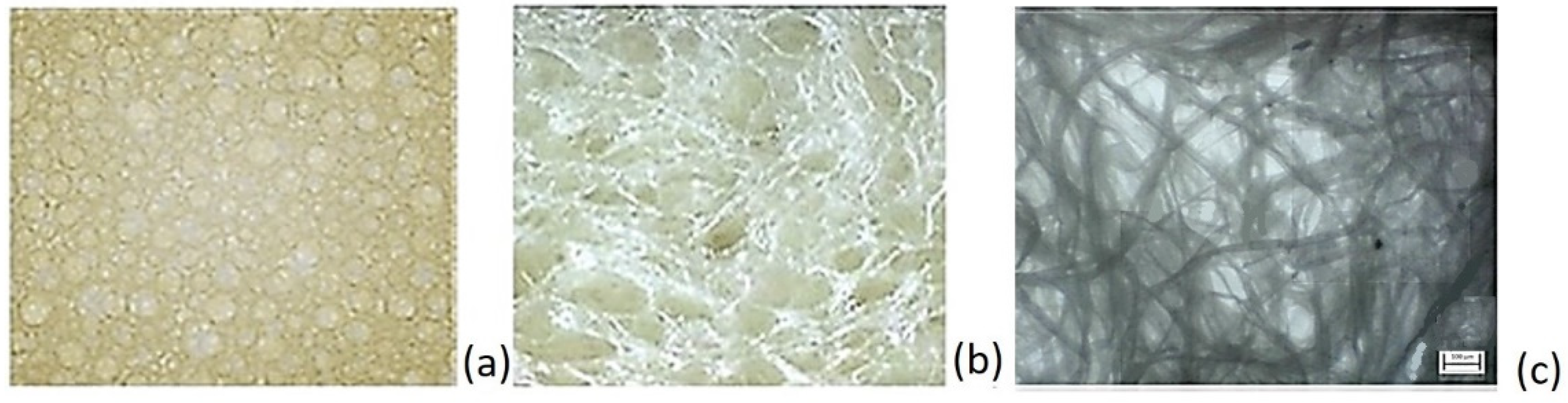 Polymers 17 01043 g007