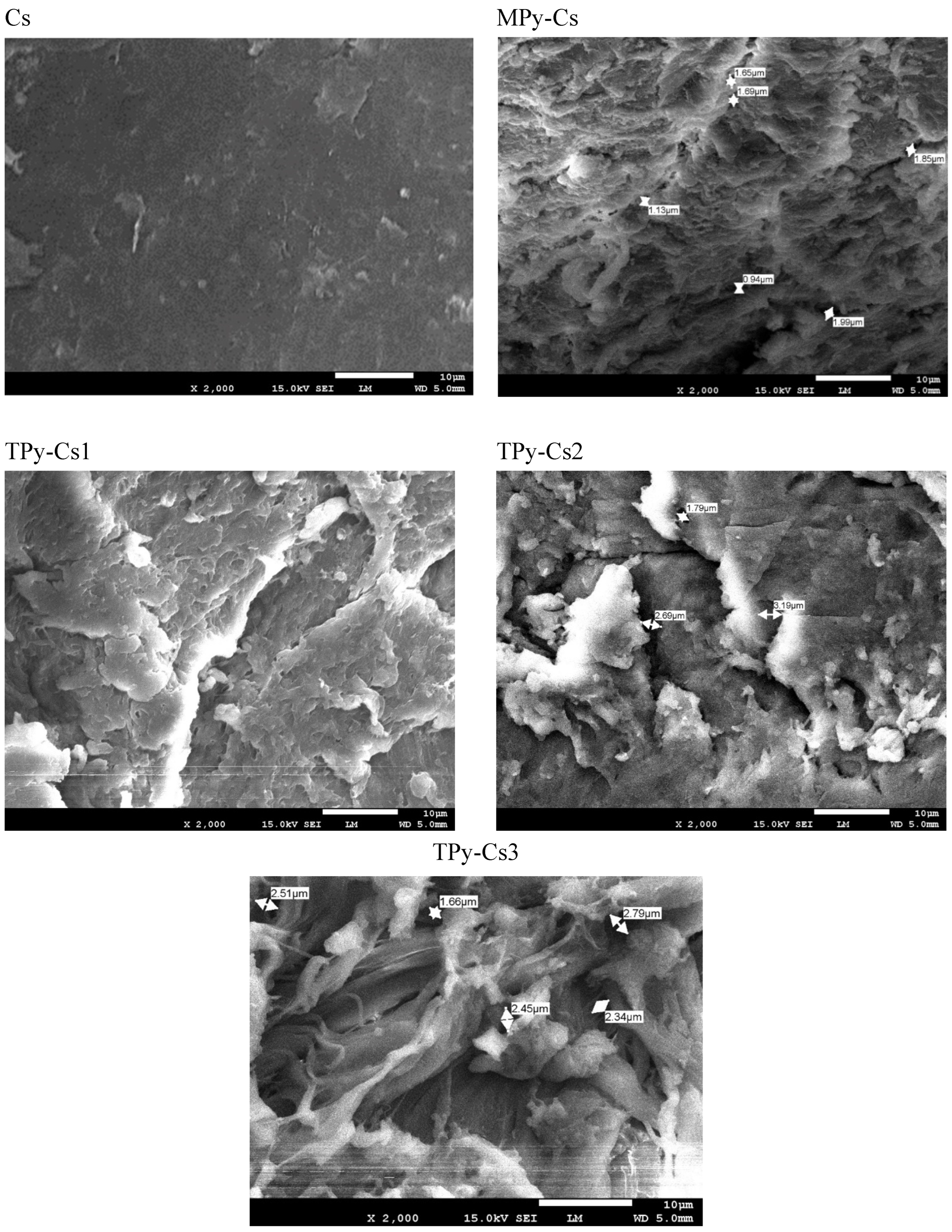 Polymers 17 01061 g009