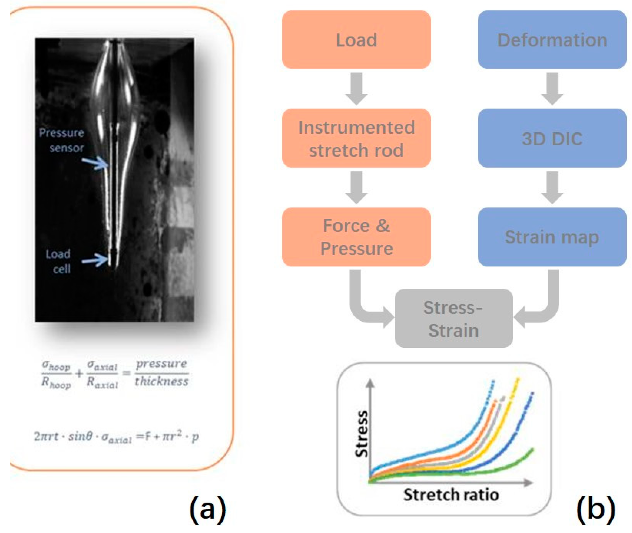 Polymers 17 01067 g004