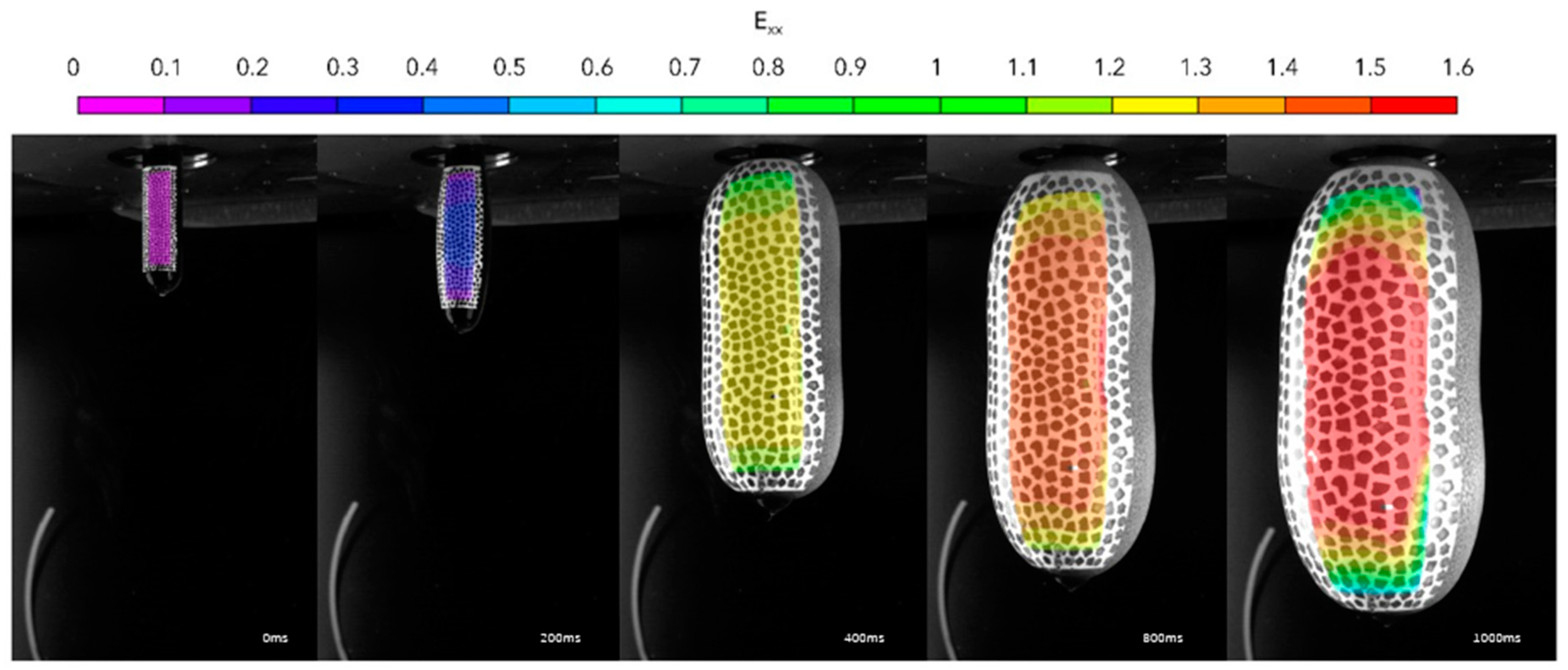 Polymers 17 01067 g005