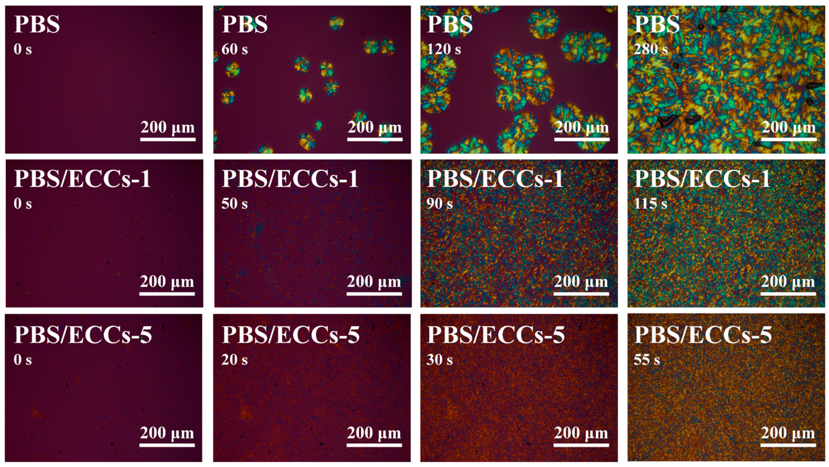 Polymers 17 01086 g005