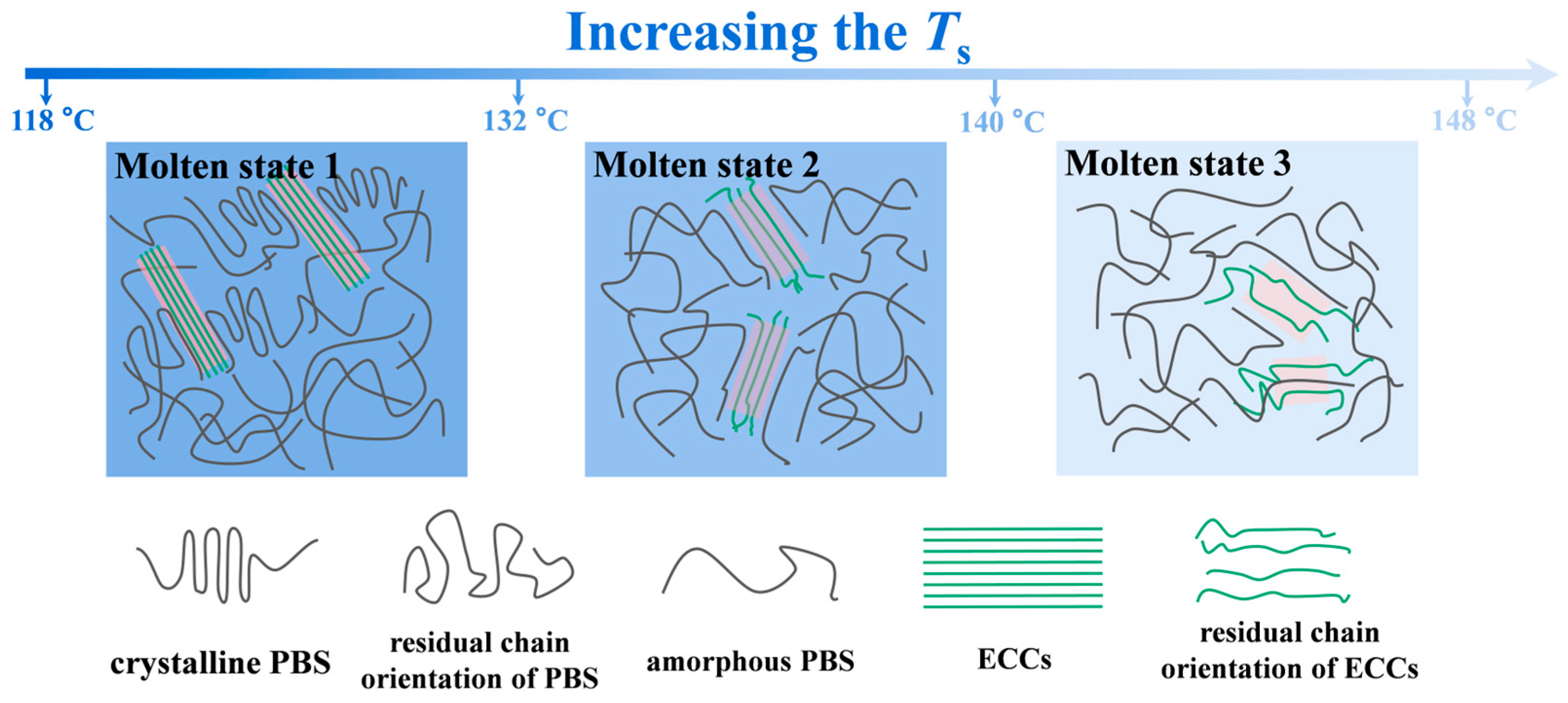 Polymers 17 01086 g007
