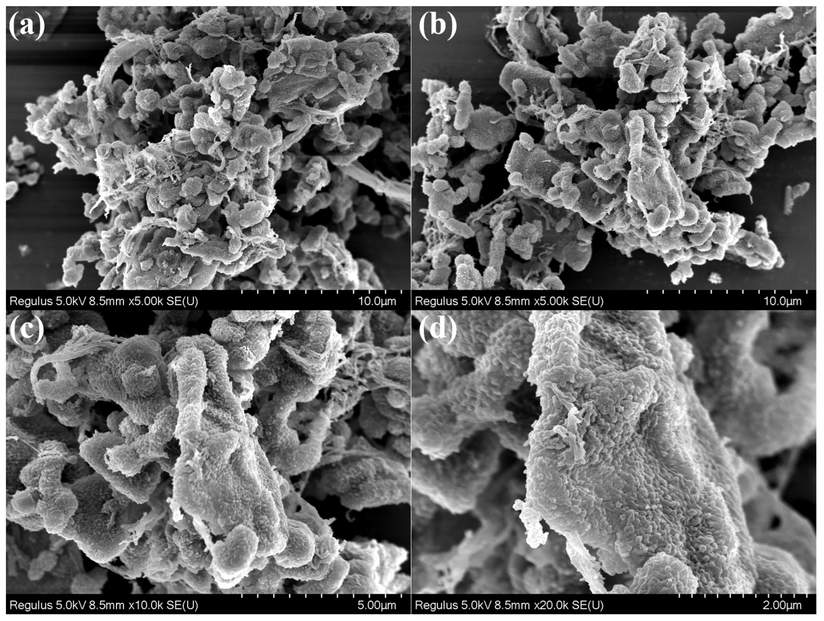 Polymers 17 01102 g003