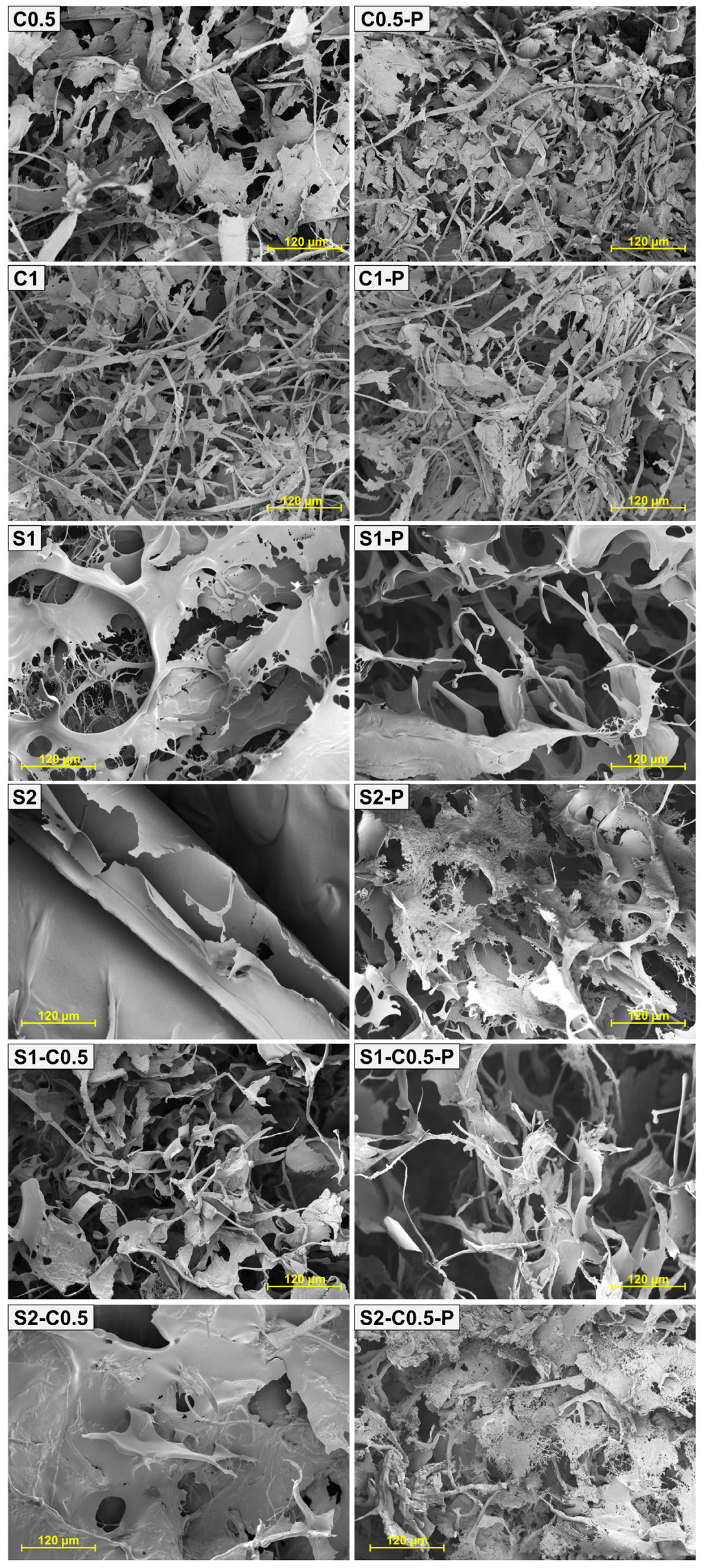 Polymers 17 01103 g002