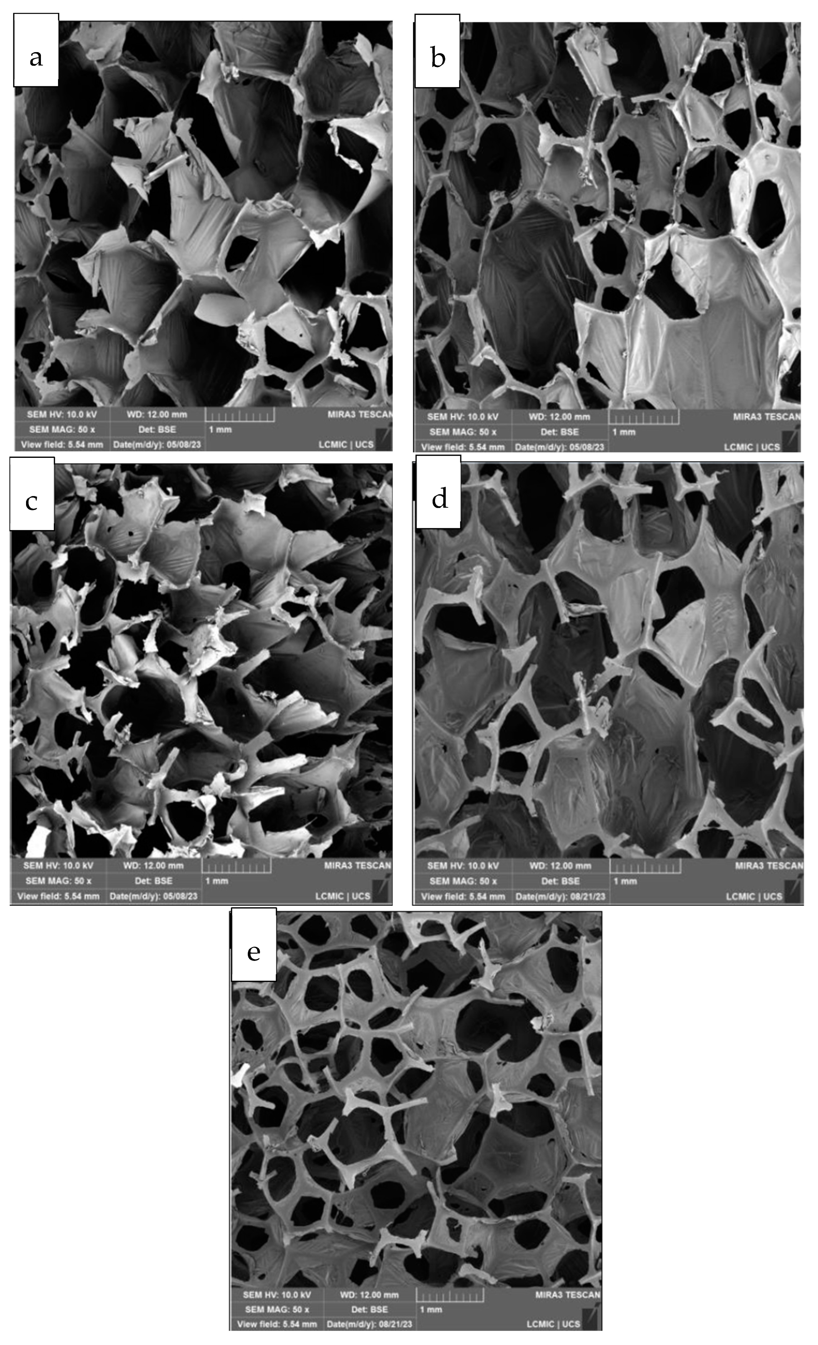 Polymers 17 01127 g004