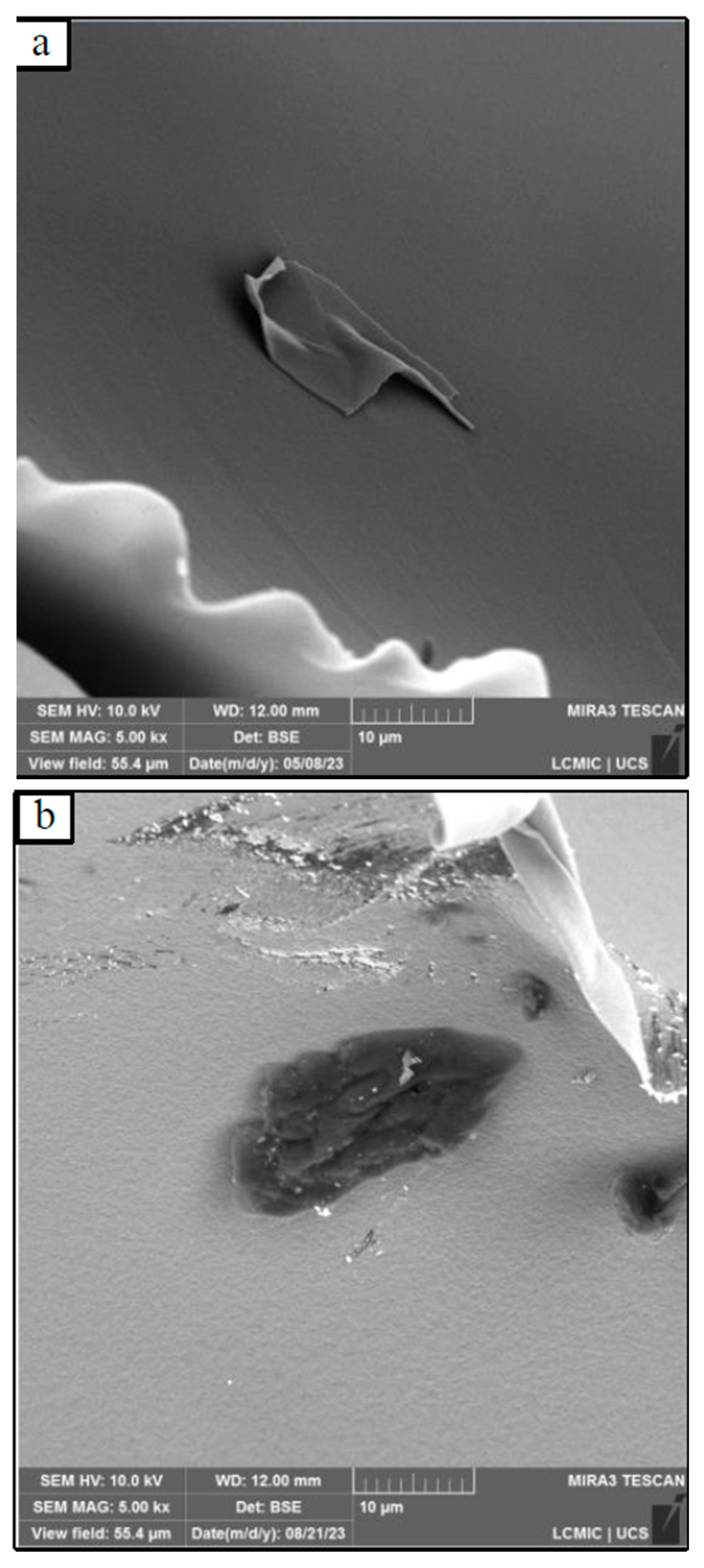 Polymers 17 01127 g005