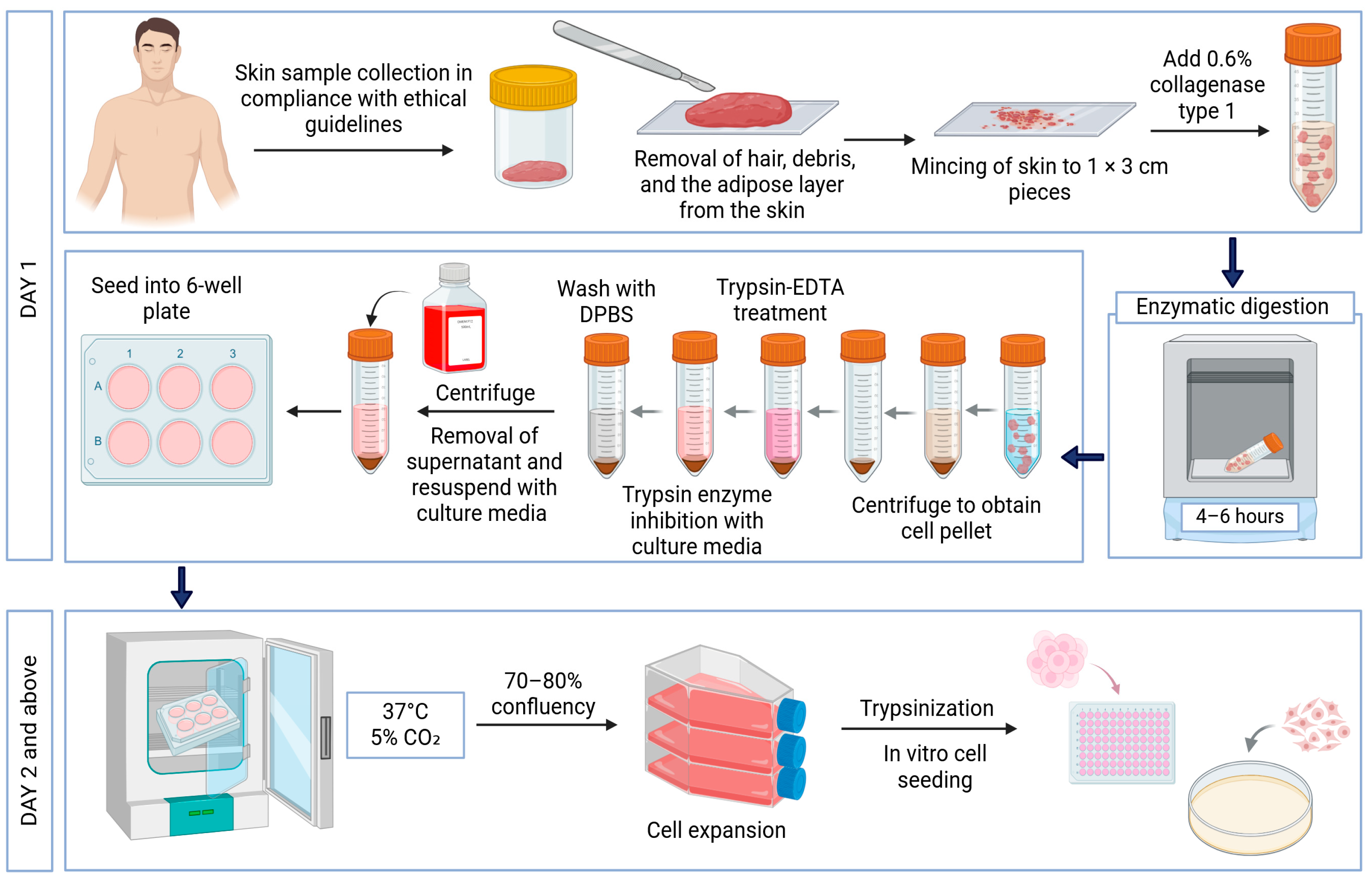 Polymers 17 01129 g002
