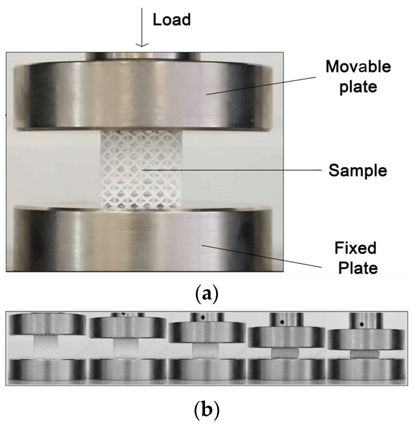 Compression Testing Machine In Use Design of Flexible TPU-Based Lattice Structures for 3D Printing: A ...