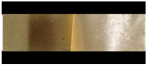 Polymers 17 01139 i002