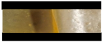 Polymers 17 01139 i004