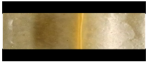 Polymers 17 01139 i005