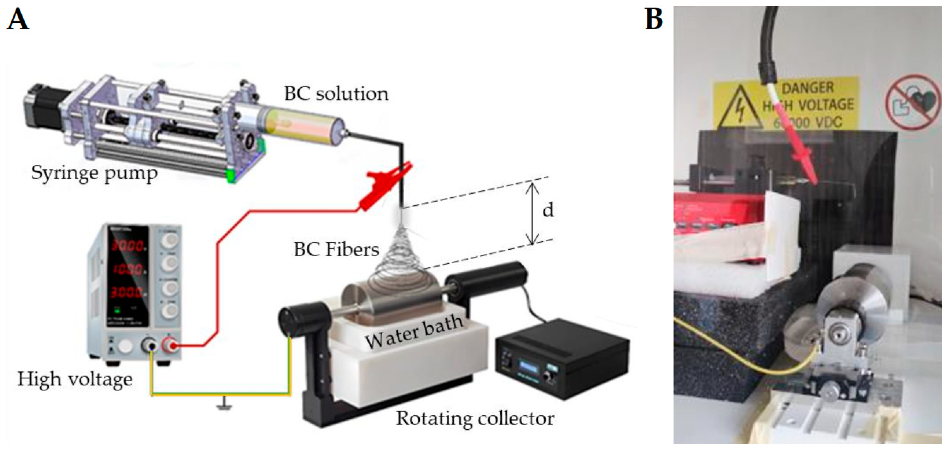 Polymers 17 01162 g001