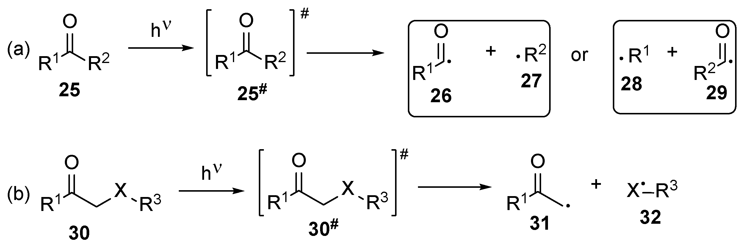 Polymers 17 01166 g003