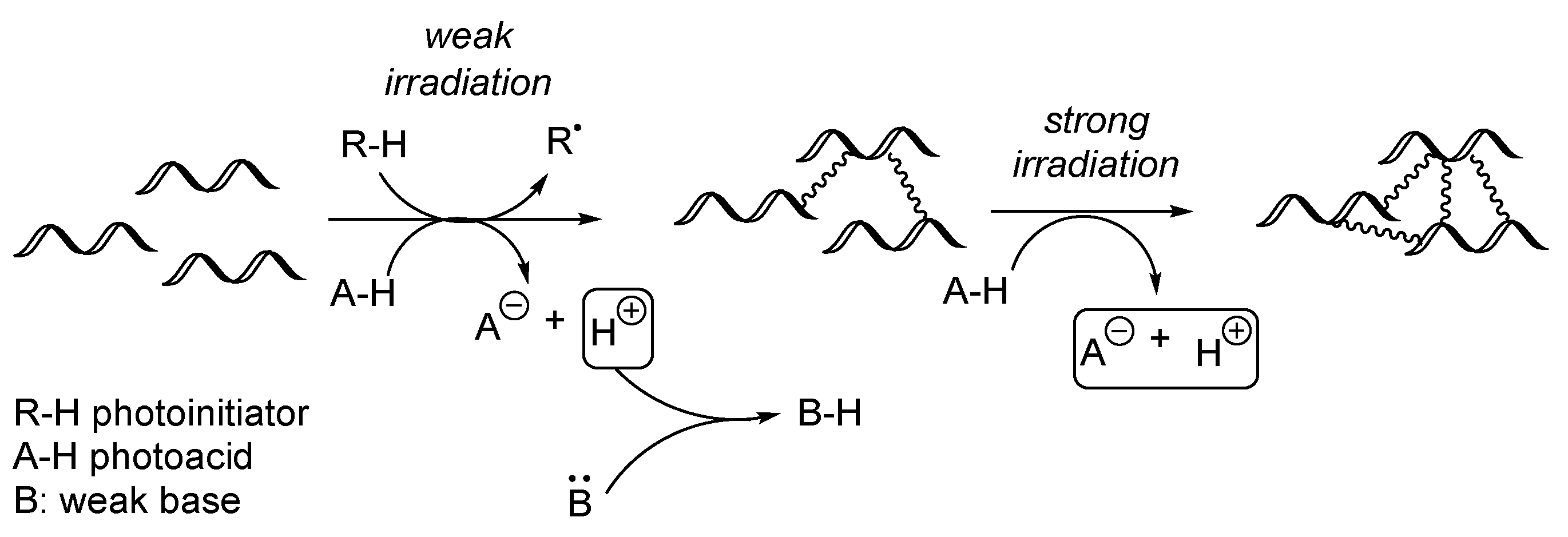 Polymers 17 01166 g013