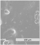 Polymers 17 01173 i004