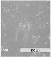Polymers 17 01173 i005