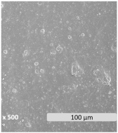 Polymers 17 01173 i006