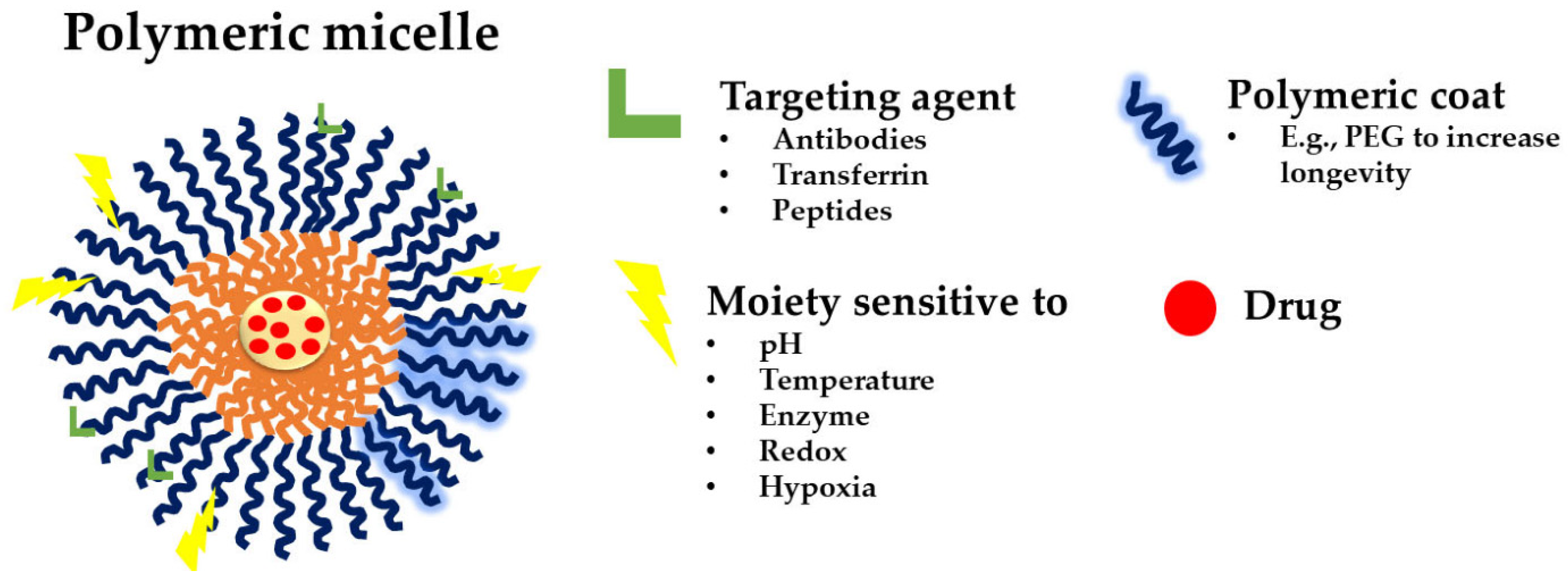 Polymers 17 01174 g007