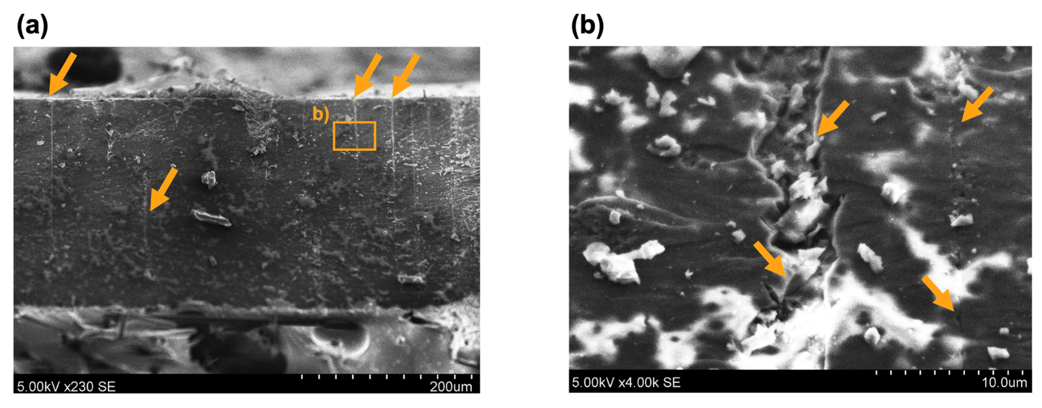 Polymers 17 01176 g009