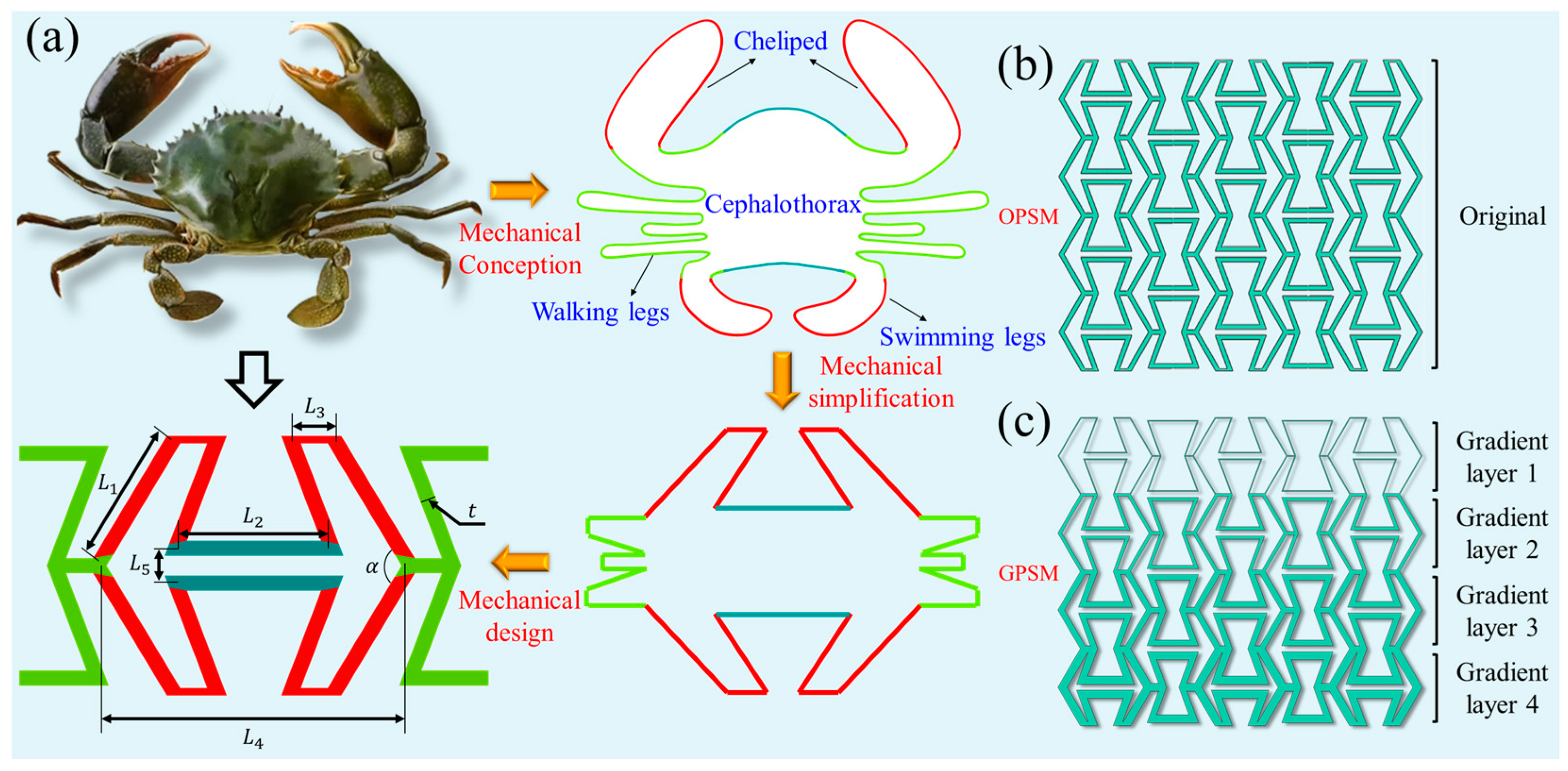 Polymers 17 01181 g001