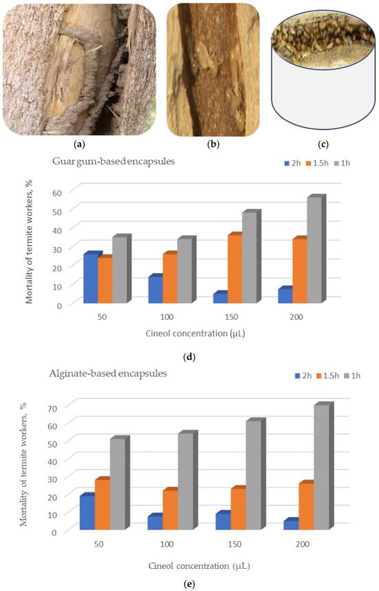 Polymers 17 01182 g011