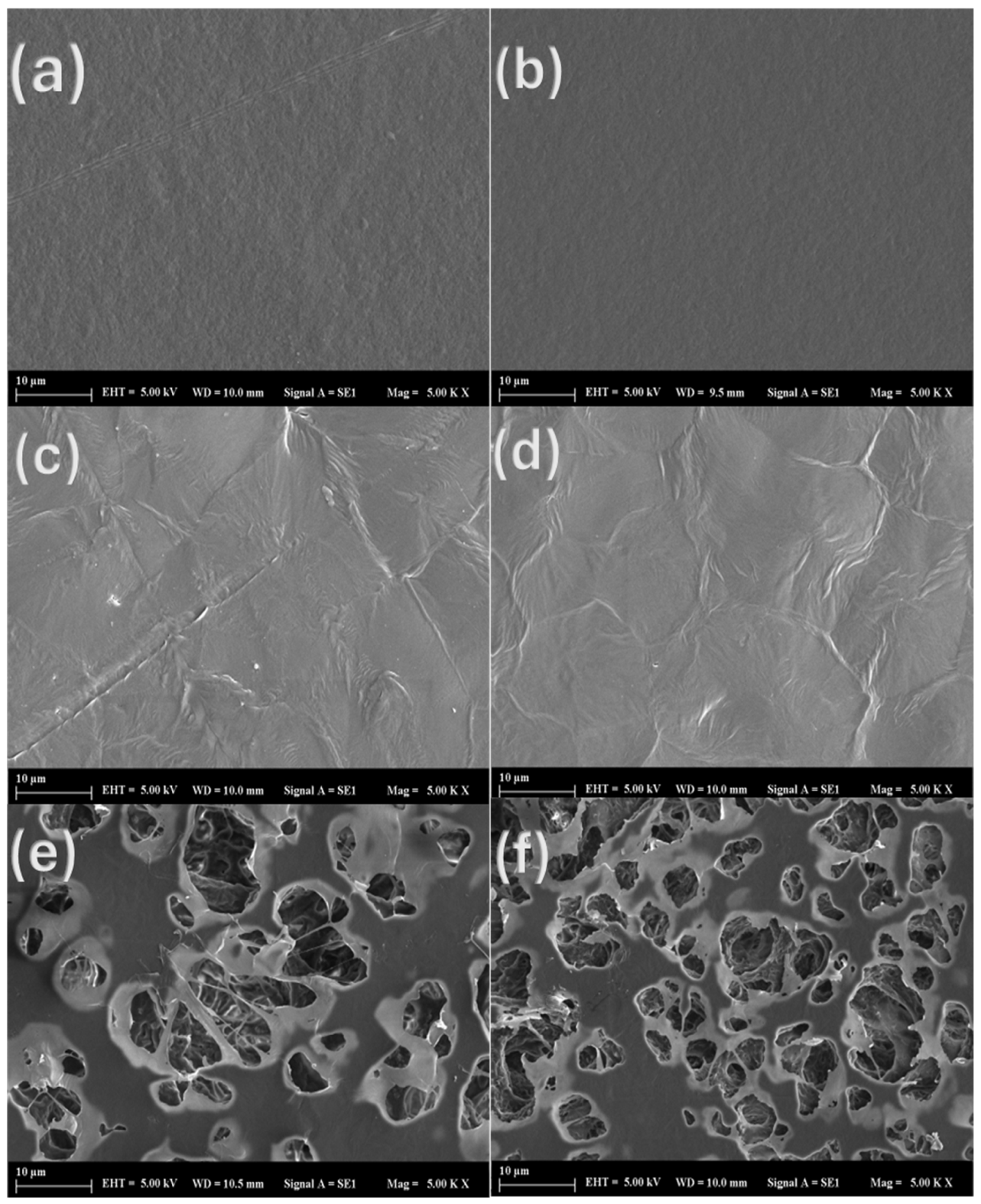 Polymers 17 01189 g003