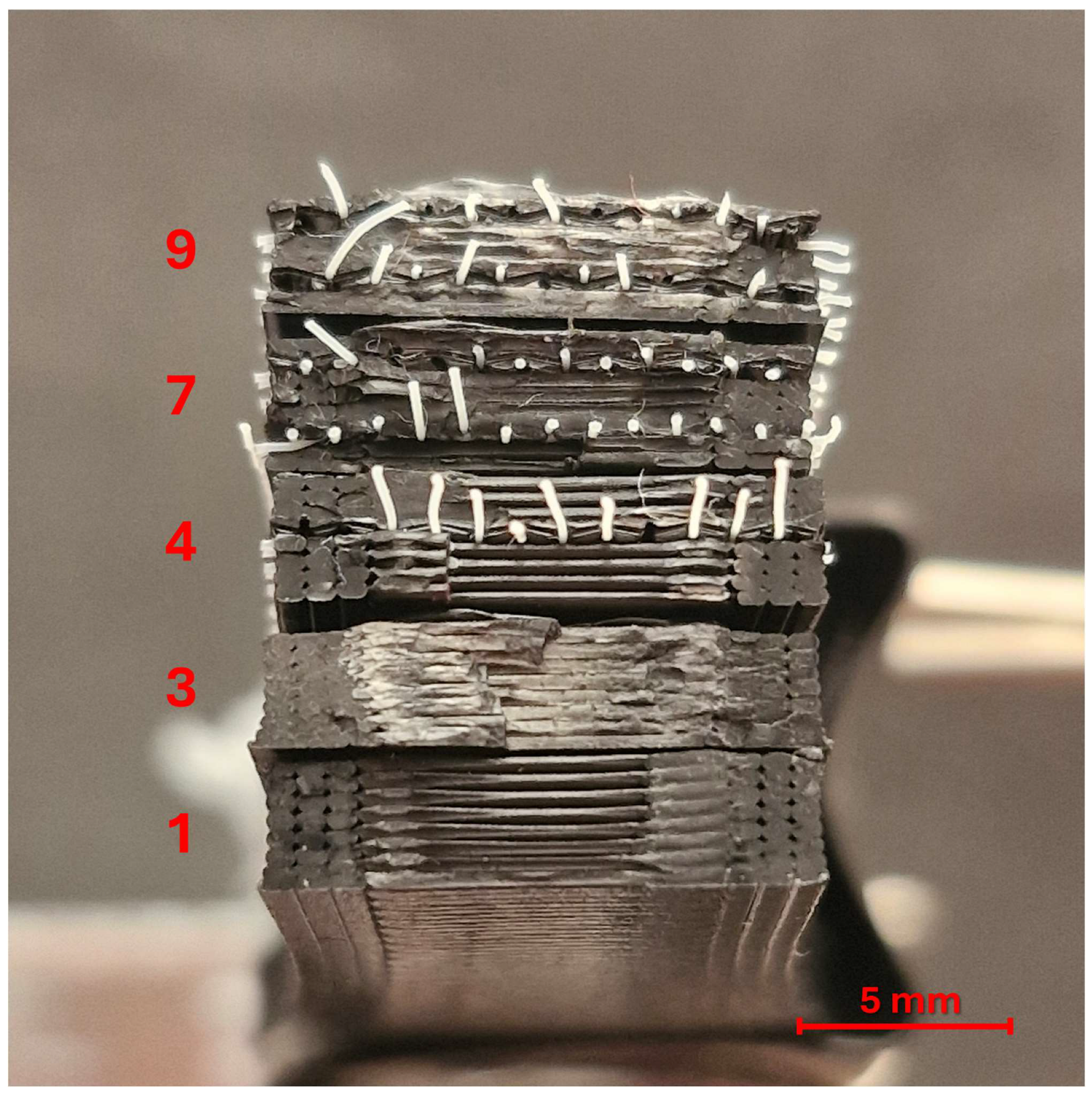 Polymers 17 01191 g014