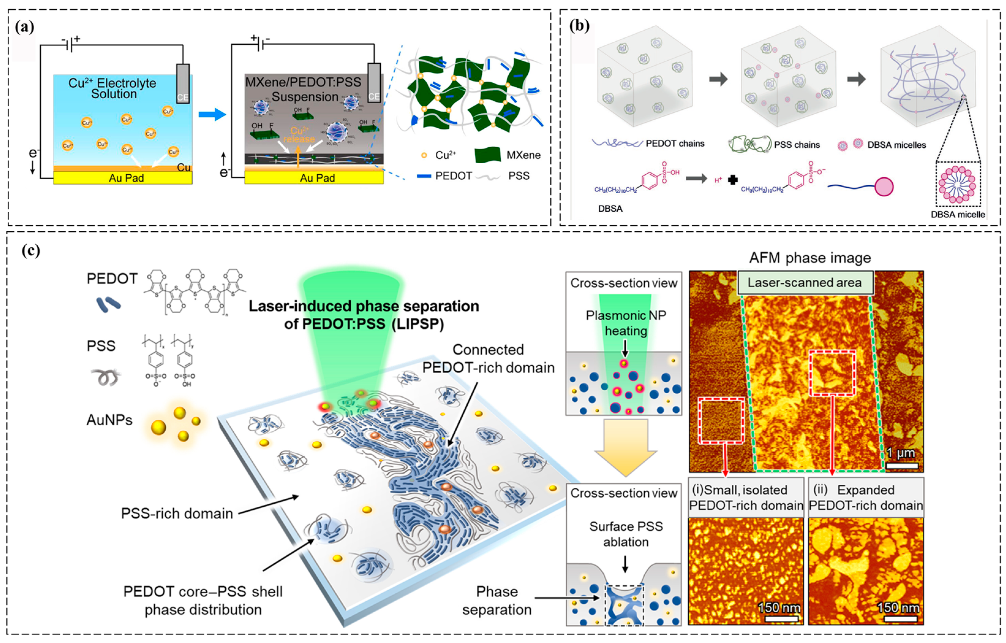 Polymers 17 01192 g003